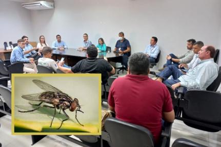 Reprodução