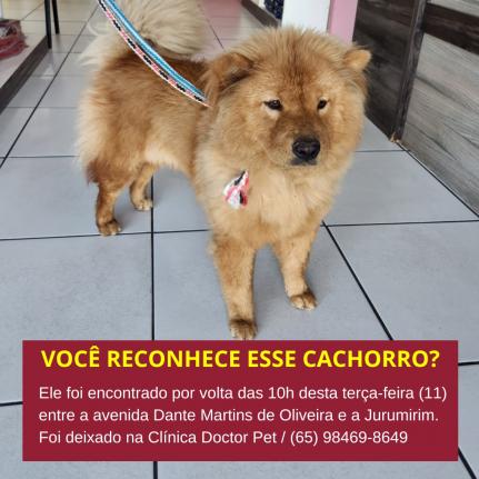 Reprodução