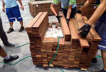 Opera&ccedil;&atilde;o Woodpecker