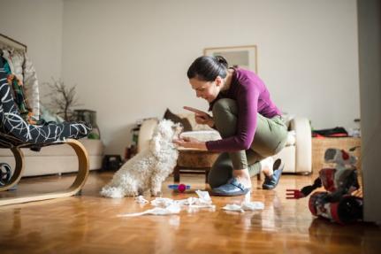 Petlove