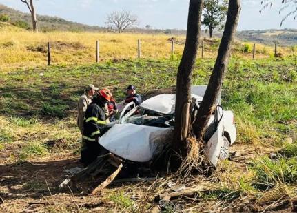 Patrícia Cacheffo/SBT Rondonópolis