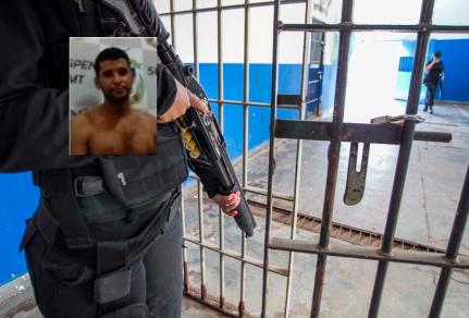 Reprodução/Chico Ferreira
