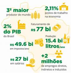 dados sobre cerveja no brasil