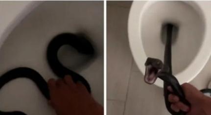 Reprodução/Twitter