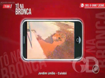 imagem