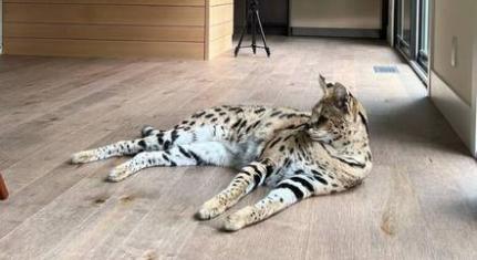 Reprodução/ Instagram