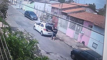 Reprodução