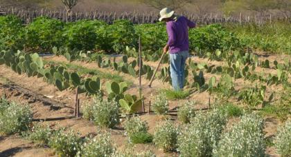 Arquivo/Agência Brasil