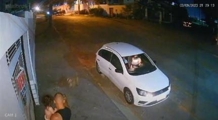 Reprodução