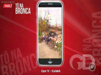 imagem