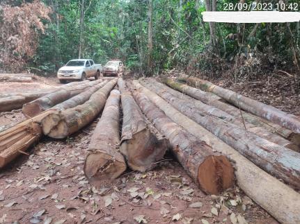 Divulgação/Sema-MT