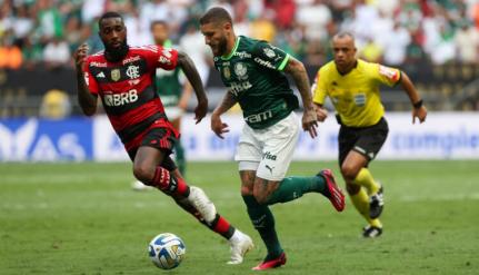 Cesar Greco / Palmeiras 