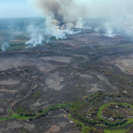 SOS Pantanal