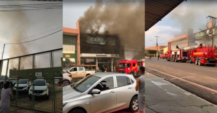 Reprodução