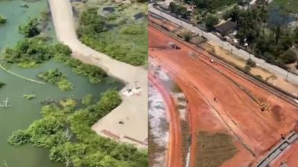 Reprodução 