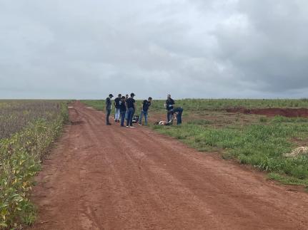 Portal Campo Novo