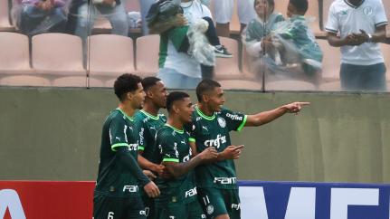 Divulgação/ Palmeiras