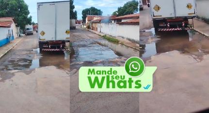 Reprodução