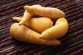 Batatas, gastronomia
