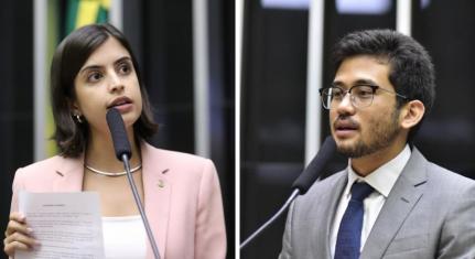 Zeca Ribeiro / Câmara dos Deputados 