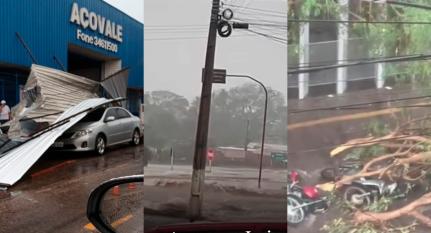 Reprodução