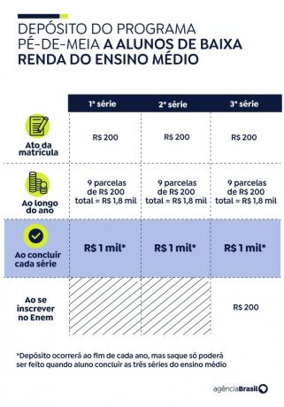 programa p&eacute; de meia