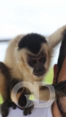 Fazenda Lagoa do Sol