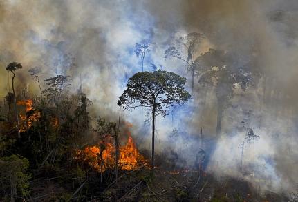 Carl de Souza AFP