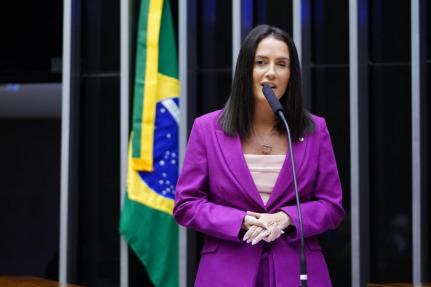 Câmara de Deputados 