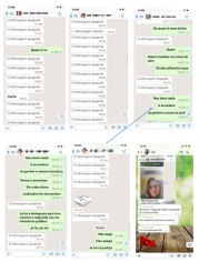 ines gemilaki recurso da defesa 