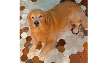 Reprodução / Instagram 