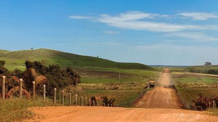 Franscisvaldo Gonçalves 