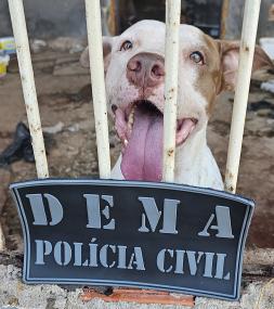 PJC