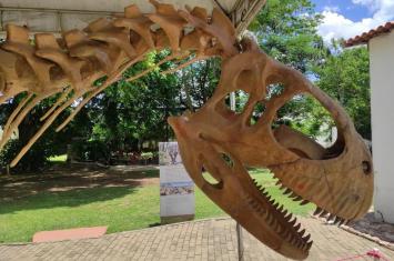 Col&ocirc;nia de Ferias 