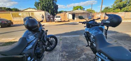 Reprodução