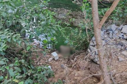 João Carlos / Estadão MT