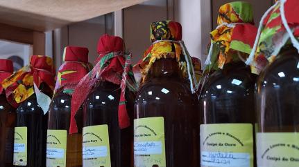 Aline Costa/ Gazeta Digital 