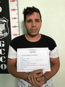 Reprodução