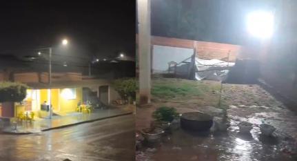 Reprodução