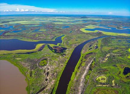 SOS Pantanal
