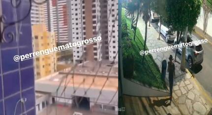 Reprodução