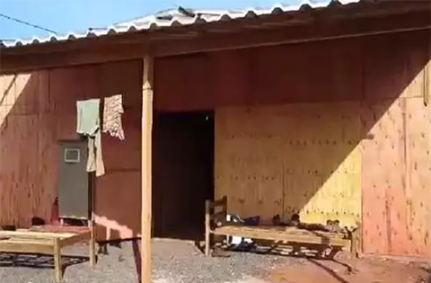Reprodução