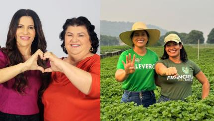 Divulgação