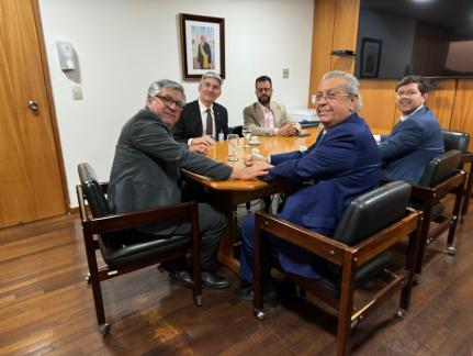 Divulgação