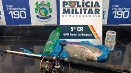 PM-MT