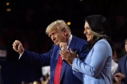 Reprodução/Instagram @tulsigabbard