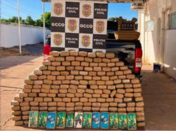 210 Tabletes de maconha recolhidos em junho