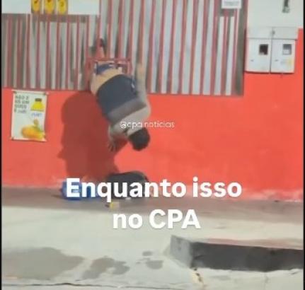 Reprodução