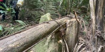 Funai divulga imagens inéditas de comunidades indígenas isoladas 