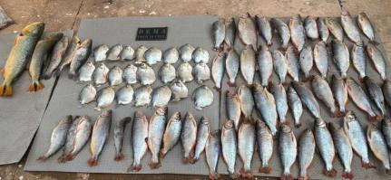 Divulgação /  Polícia Civil-MT